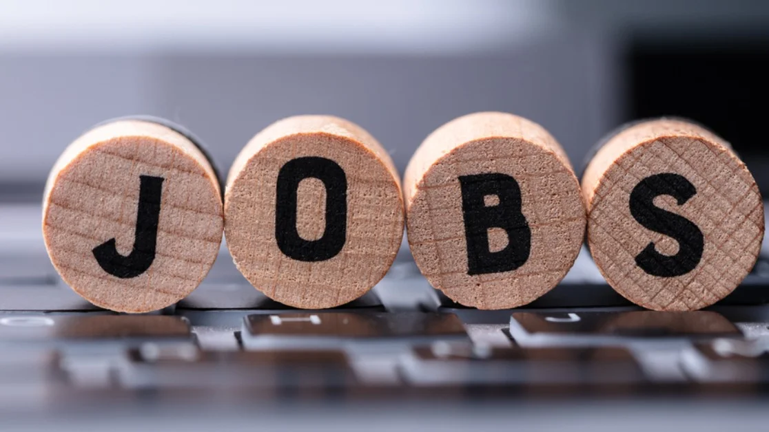 Punjab Higher Education Commission Jobs 2025 – Multiple Vacancies Announced