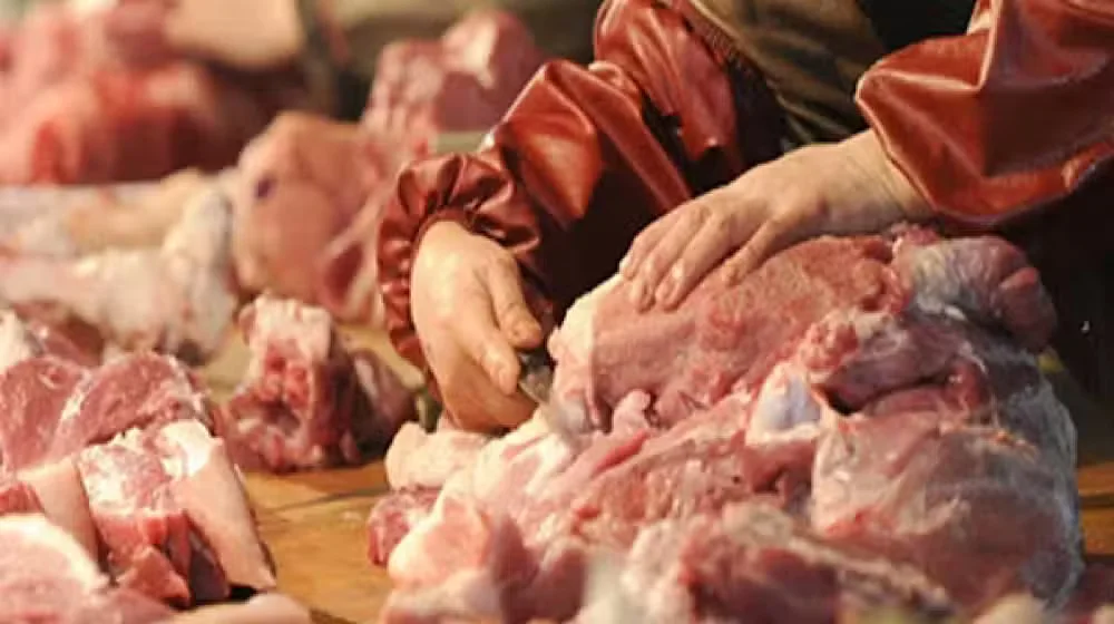PFA Destroys 8,000kg Rotten Meat in Major Rawalpindi Operation