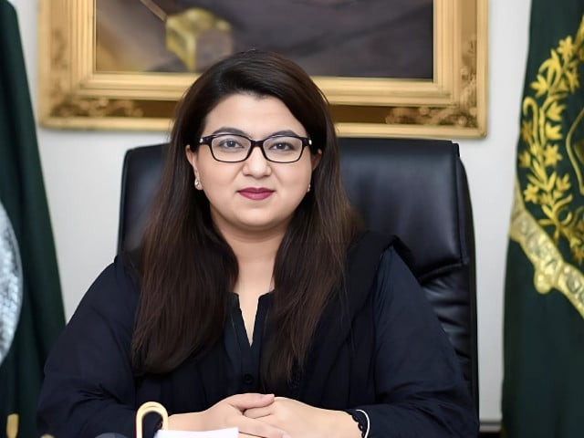 Pakistan Internet Speed: Minister Shares Key Updates