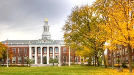 Google Free Online Courses