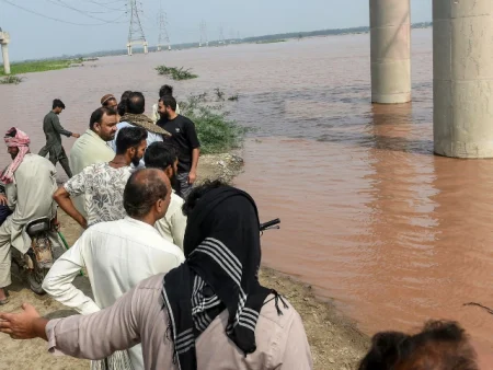 Punjab Flood Alert: Emergency Contact Numbers Released for Affected Areas