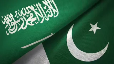 Pakistani IT Companies Saudi Arabia