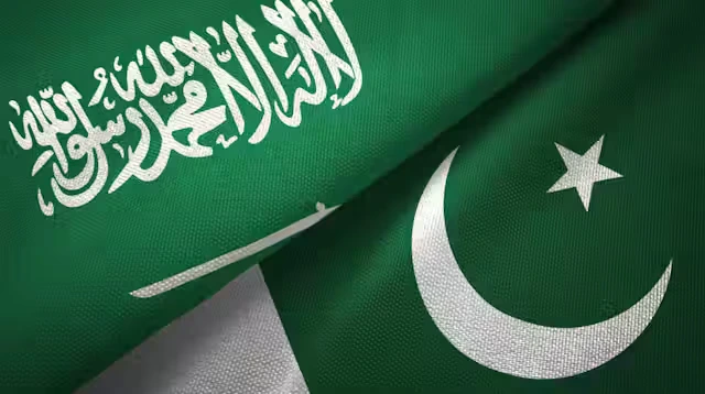 Pakistani IT Companies Saudi Arabia