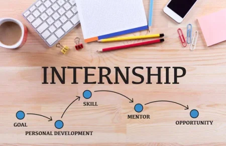 Internship Program for Veterinary Graduates in Punjab Begins – Apply Now
