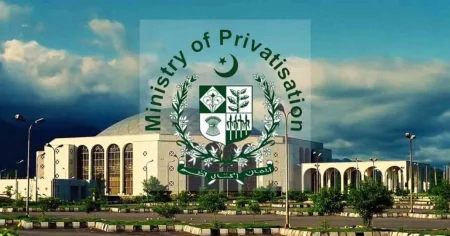 Govt to Privatize 24 Enterprises in Phases