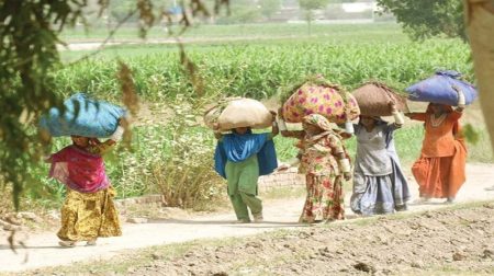 Nearly Two-Third of Pakistan’s Population Lives in Rural Areas