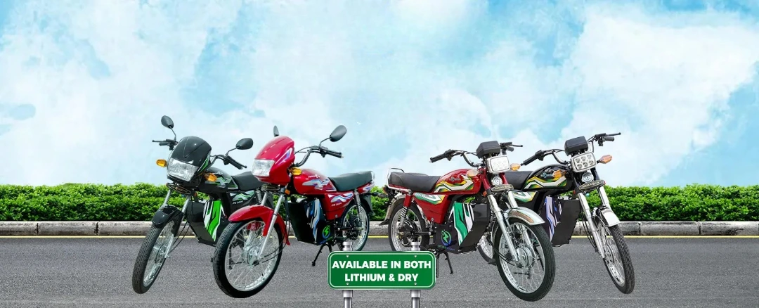 Pakzon Electric Bike