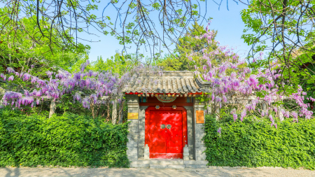 Explore China and Earn a Master’s: Yenching Academy Scholarship 2026 Yenching Academy Scholarship