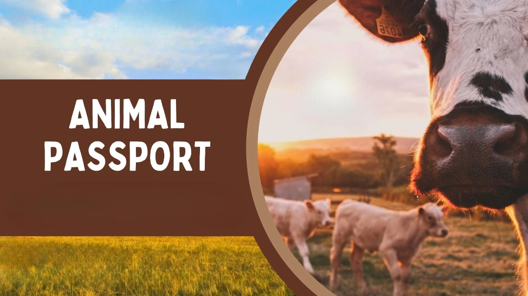 Animal Passport app