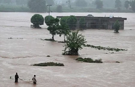 Flood Alert Punjab: Sutlej River Poses High Risk at Harike and Ferozepur