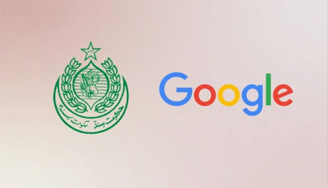 sindh google It training
