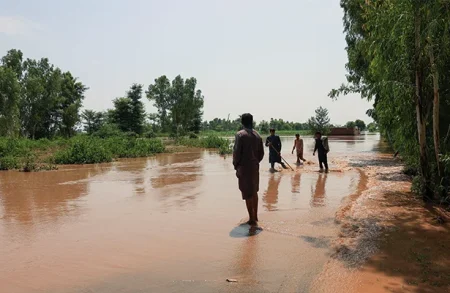 Head Muhammad Wala Flood Update: Water Level Nears Critical Point