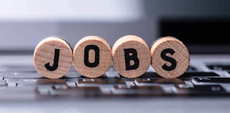 KP Govt Opens New Job Vacancies – Check Eligibility & Apply