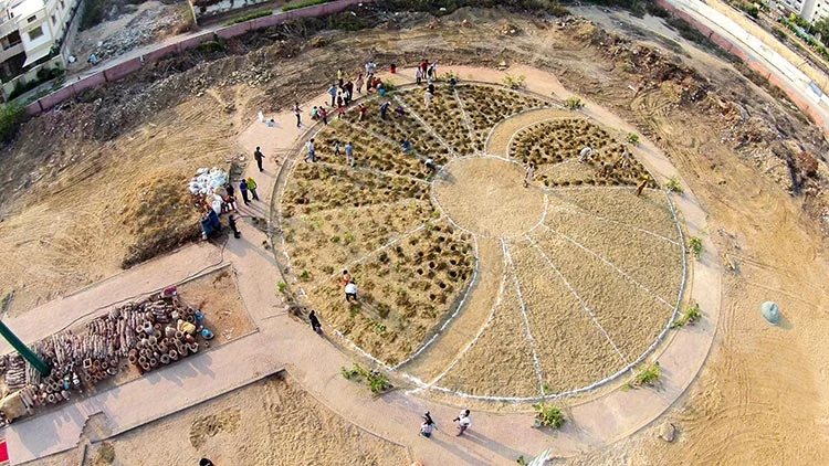 Karachi’s First Ever Urban Forest is Getting an Upgrade