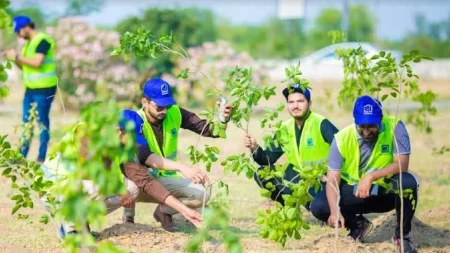 Lahore is Planting Over 20,000 Trees to Create an Oxygen Hub