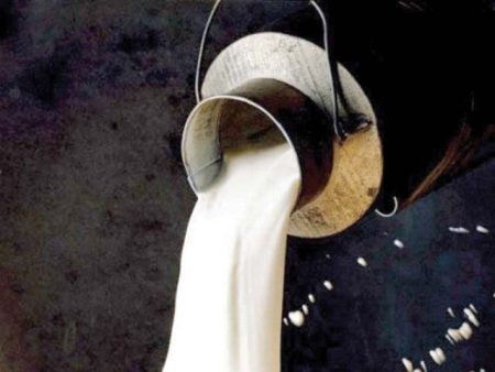 Shop Sealed in Islamabad for Selling Unsafe Milk