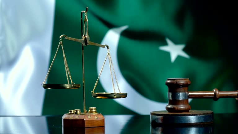 Supreme Court Litigants Facilitation Cell