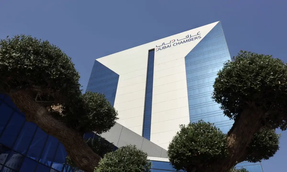 Pakistani Firms Rank Second in Record New Registrations in Dubai