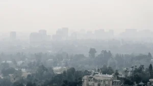 Black Smoke and Poor Maintenance Raising Pollution in Islamabad